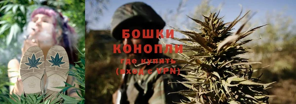 гидра Алапаевск